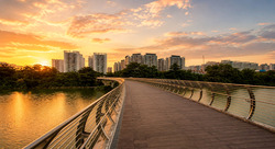 Blk 335C Anchorvale Cove (Sengkang), HDB 4 Rooms #588752331